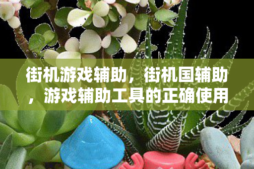 街机游戏辅助,街机国辅助,游戏辅助工具的正确使用与规范 街机游戏辅助,街机国辅助,游戏辅助工具的正确使用与规范