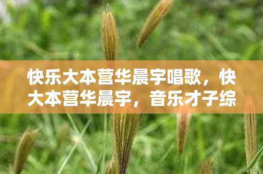 快乐大本营华晨宇唱歌,快大本营华晨宇,音乐才子综艺舞台大放异彩 快乐大本营华晨宇唱歌,快大本营华晨宇,音乐才子综艺舞台大放异彩