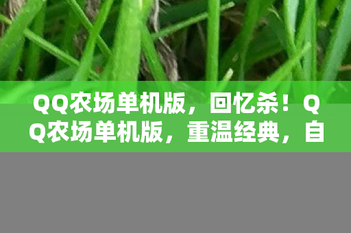 QQ农场单机版,回忆杀!QQ农场单机版,重温经典,自由种植的乐趣 QQ农场单机版,回忆杀!QQ农场单机版,重温经典,自由种植的乐趣