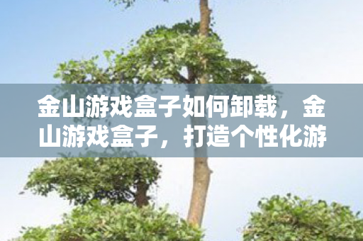 金山游戏盒子如何卸载,金山游戏盒子,打造个性化游戏体验的必备神器 金山游戏盒子如何卸载,金山游戏盒子,打造个性化游戏体验的必备神器