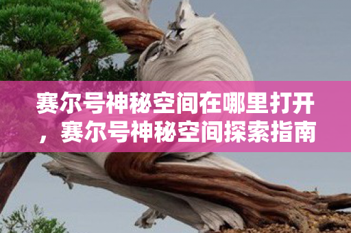 赛尔号神秘空间在哪里打开,赛尔号神秘空间探索指南,揭秘未知领域 赛尔号神秘空间在哪里打开,赛尔号神秘空间探索指南,揭秘未知领域