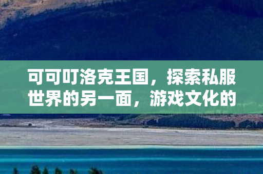 可可叮洛克王国,探索私服世界的另一面,游戏文化的自由与限制 可可叮洛克王国,探索私服世界的另一面,游戏文化的自由与限制