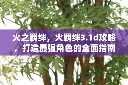 火之羁绊,火羁绊3.1d攻略,打造最强角色的全面指南 火之羁绊,火羁绊3.1d攻略,打造最强角色的全面指南