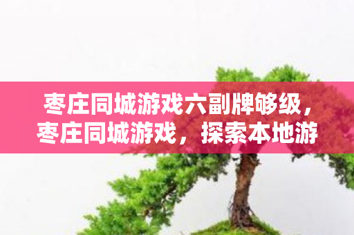 枣庄同城游戏六副牌够级,枣庄同城游戏,探索本地游戏文化的魅力 枣庄同城游戏六副牌够级,枣庄同城游戏,探索本地游戏文化的魅力