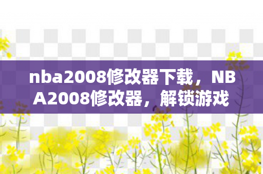 nba2008修改器下载,NBA2008修改器,解锁游戏新体验,合法合规的玩法探索 nba2008修改器下载,NBA2008修改器,解锁游戏新体验,合法合规的玩法探索