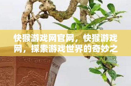 快猴游戏网官网，快猴游戏网，探索游戏世界的奇妙之旅