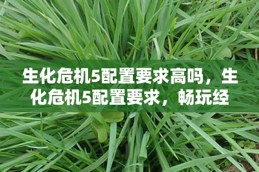 生化危机5配置要求高吗,生化危机5配置要求,畅玩经典,需何硬件? 生化危机5配置要求高吗,生化危机5配置要求,畅玩经典,需何硬件?