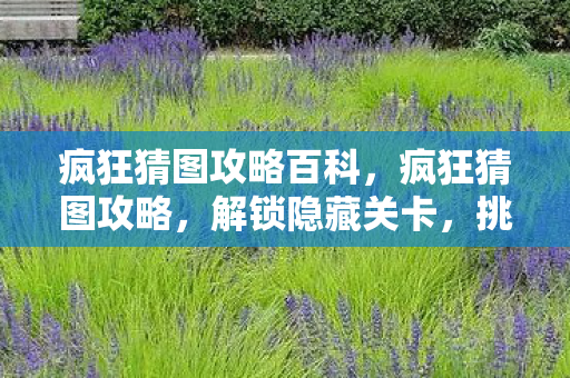 疯狂猜图攻略百科,疯狂猜图攻略,解锁隐藏关卡,挑战你的智慧 疯狂猜图攻略百科,疯狂猜图攻略,解锁隐藏关卡,挑战你的智慧