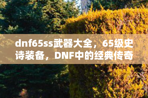 dnf65ss武器大全,65级史诗装备,DNF中的经典传奇 dnf65ss武器大全,65级史诗装备,DNF中的经典传奇