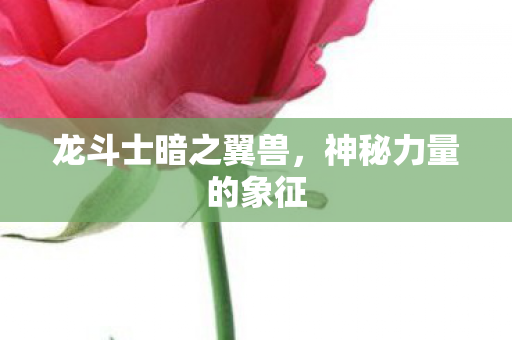龙斗士暗之翼兽，神秘力量的象征
