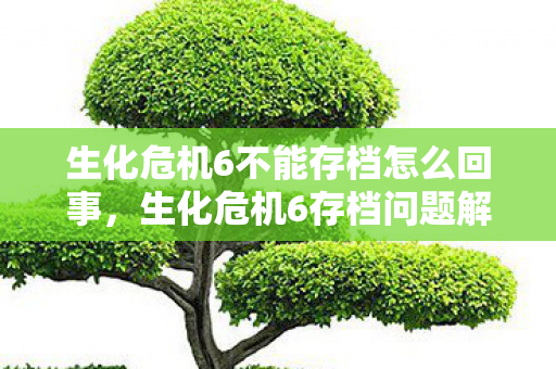 生化危机6不能存档怎么回事，生化危机6存档问题解析