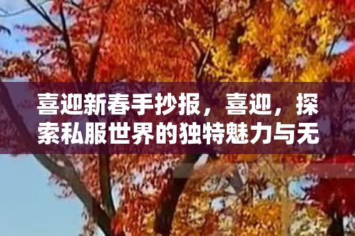 喜迎新春手抄报,喜迎,探索私服世界的独特魅力与无限可能 喜迎新春手抄报,喜迎,探索私服世界的独特魅力与无限可能