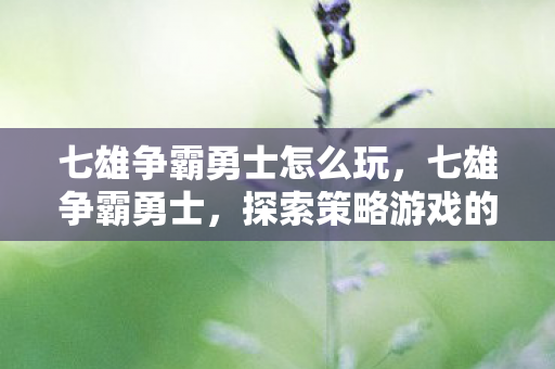 七雄争霸勇士怎么玩,七雄争霸勇士,探索策略游戏的深度与广度 七雄争霸勇士怎么玩,七雄争霸勇士,探索策略游戏的深度与广度