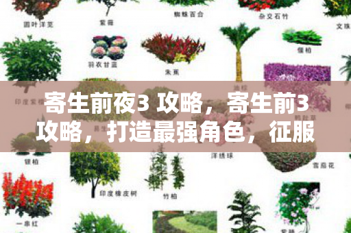 寄生前夜3 攻略，寄生前3攻略，打造最强角色，征服游戏世界