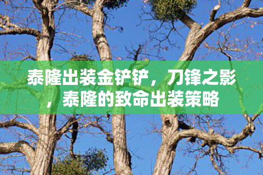 泰隆出装金铲铲,刀锋之影,泰隆的致命出装策略 泰隆出装金铲铲,刀锋之影,泰隆的致命出装策略