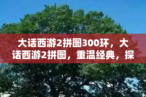 大话西游2拼图300环，大话西游2拼图，重温经典，探寻游戏中的奇妙世界