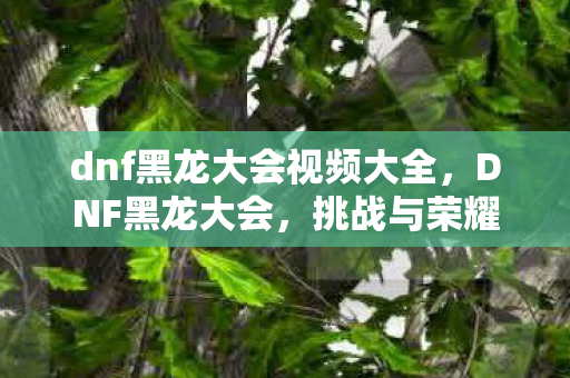 dnf黑龙大会视频大全，DNF黑龙大会，挑战与荣耀的盛宴