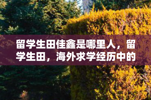 留学生田佳鑫是哪里人,留学生田,海外求学经历中的文化碰撞与自我成长 留学生田佳鑫是哪里人,留学生田,海外求学经历中的文化碰撞与自我成长