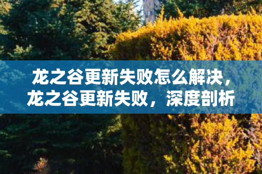 龙之谷更新失败怎么解决,龙之谷更新失败,深度剖析背后的原因与影响 龙之谷更新失败怎么解决,龙之谷更新失败,深度剖析背后的原因与影响