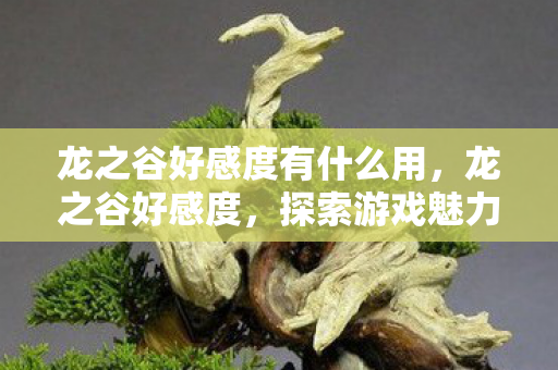 龙之谷好感度有什么用,龙之谷好感度,探索游戏魅力,感受玩家热情 龙之谷好感度有什么用,龙之谷好感度,探索游戏魅力,感受玩家热情
