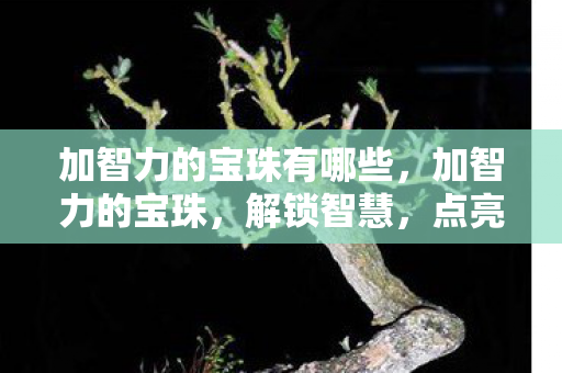 加智力的宝珠有哪些，加智力的宝珠，解锁智慧，点亮未来