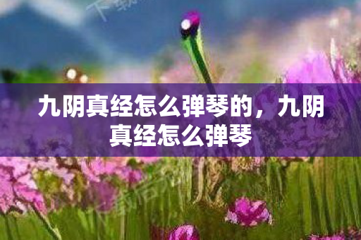 九阴真经怎么弹琴的，九阴真经怎么弹琴