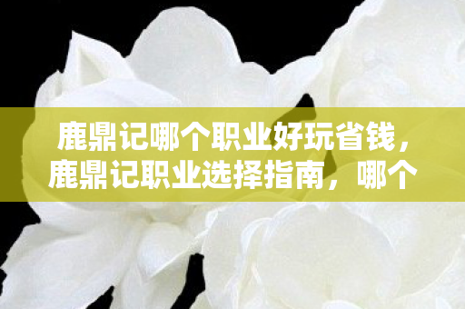 鹿鼎记哪个职业好玩省钱,鹿鼎记职业选择指南,哪个职业最适合你? 鹿鼎记哪个职业好玩省钱,鹿鼎记职业选择指南,哪个职业最适合你?