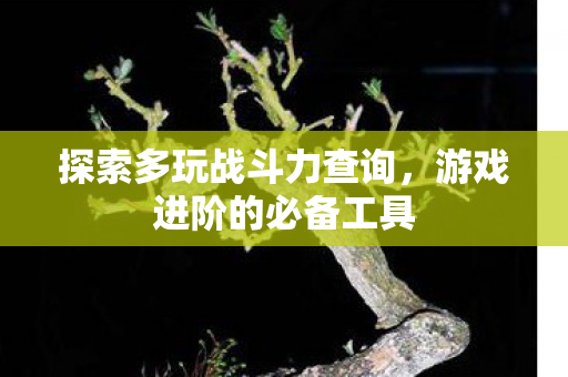探索多玩战斗力查询,游戏进阶的必备工具 探索多玩战斗力查询,游戏进阶的必备工具