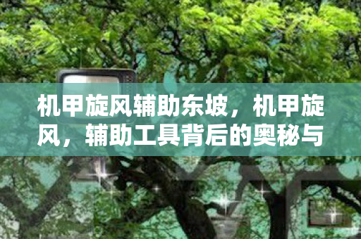 机甲旋风辅助东坡，机甲旋风，辅助工具背后的奥秘与探索