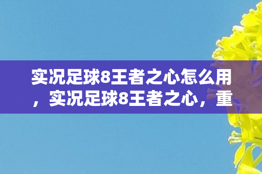 实况足球8王者之心怎么用，实况足球8王者之心，重温经典，感受足球激情