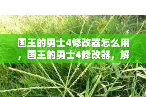 国王的勇士4修改器怎么用,国王的勇士4修改器,解锁无限可能的冒险之旅 国王的勇士4修改器怎么用,国王的勇士4修改器,解锁无限可能的冒险之旅