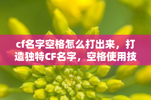 cf名字空格怎么打出来，打造独特CF名字，空格使用技巧全解析