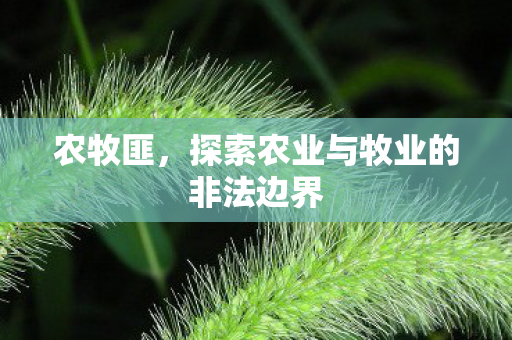 农牧匪,探索农业与牧业的非法边界 农牧匪,探索农业与牧业的非法边界