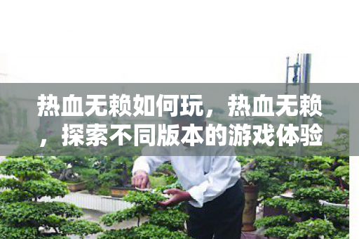 热血无赖如何玩,热血无赖,探索不同版本的游戏体验与特色 热血无赖如何玩,热血无赖,探索不同版本的游戏体验与特色