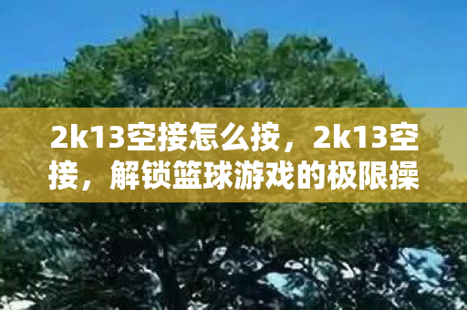2k13空接怎么按，2k13空接，解锁篮球游戏的极限操作
