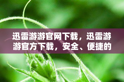 迅雷游游官网下载，迅雷游游官方下载，安全、便捷的游戏体验