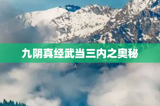 九阴真经武当三内之奥秘 九阴真经武当三内之奥秘
