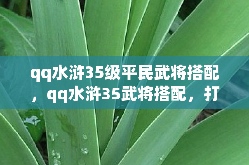 qq水浒35级平民武将搭配，qq水浒35武将搭配，打造最强战斗阵容