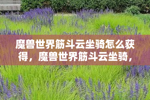 魔兽世界筋斗云坐骑怎么获得,魔兽世界筋斗云坐骑,穿越艾泽拉斯的云端之旅 魔兽世界筋斗云坐骑怎么获得,魔兽世界筋斗云坐骑,穿越艾泽拉斯的云端之旅