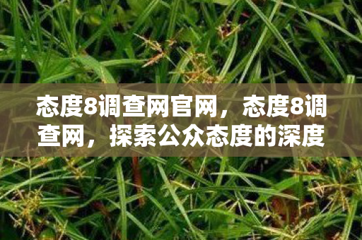 态度8调查网官网,态度8调查网,探索公众态度的深度平台 态度8调查网官网,态度8调查网,探索公众态度的深度平台
