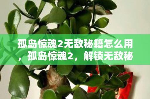 孤岛惊魂2无敌秘籍怎么用,孤岛惊魂2,解锁无敌秘籍,称霸游戏世界 孤岛惊魂2无敌秘籍怎么用,孤岛惊魂2,解锁无敌秘籍,称霸游戏世界