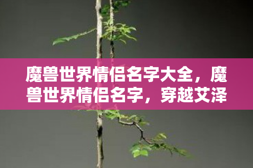 魔兽世界情侣名字大全,魔兽世界情侣名字,穿越艾泽拉斯的浪漫之旅 魔兽世界情侣名字大全,魔兽世界情侣名字,穿越艾泽拉斯的浪漫之旅