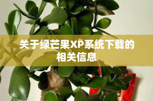 关于绿芒果XP系统下载的相关信息 关于绿芒果XP系统下载的相关信息