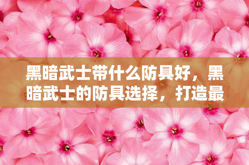 黑暗武士带什么防具好,黑暗武士的防具选择,打造最强战斗力的关键 黑暗武士带什么防具好,黑暗武士的防具选择,打造最强战斗力的关键