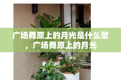 广场舞原上的月光是什么歌,广场舞原上的月光 广场舞原上的月光是什么歌,广场舞原上的月光