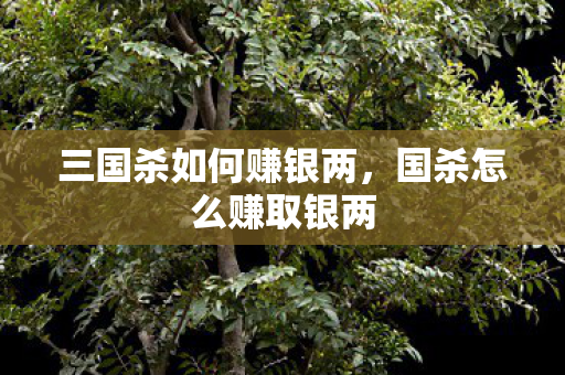 三国杀如何赚银两,国杀怎么赚取银两 三国杀如何赚银两,国杀怎么赚取银两