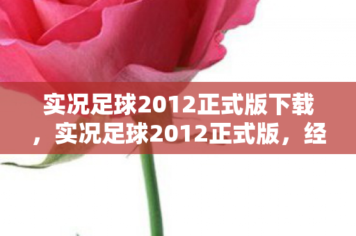 实况足球2012正式版下载,实况足球2012正式版,经典再现,激情燃烧的岁月 实况足球2012正式版下载,实况足球2012正式版,经典再现,激情燃烧的岁月