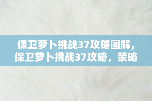 保卫萝卜挑战37攻略图解,保卫萝卜挑战37攻略,策略与技巧的全面解析 保卫萝卜挑战37攻略图解,保卫萝卜挑战37攻略,策略与技巧的全面解析