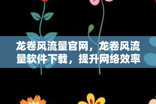 龙卷风流量官网，龙卷风流量软件下载，提升网络效率，助力企业高效运营