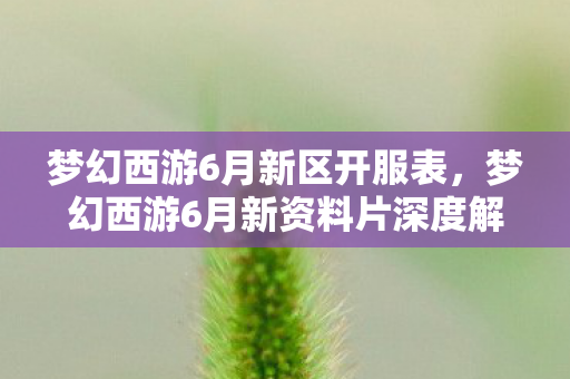 梦幻西游6月新区开服表,梦幻西游6月新资料片深度解析,全新玩法与角色调整 梦幻西游6月新区开服表,梦幻西游6月新资料片深度解析,全新玩法与角色调整
